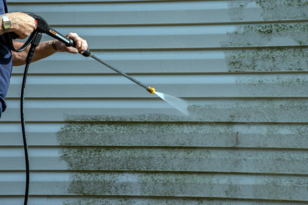 Best House Exterior Washing  in Cascade, IA